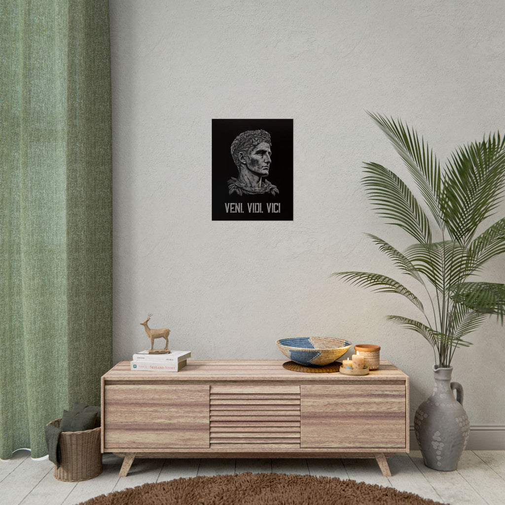 Veni Vidi Vici Poster