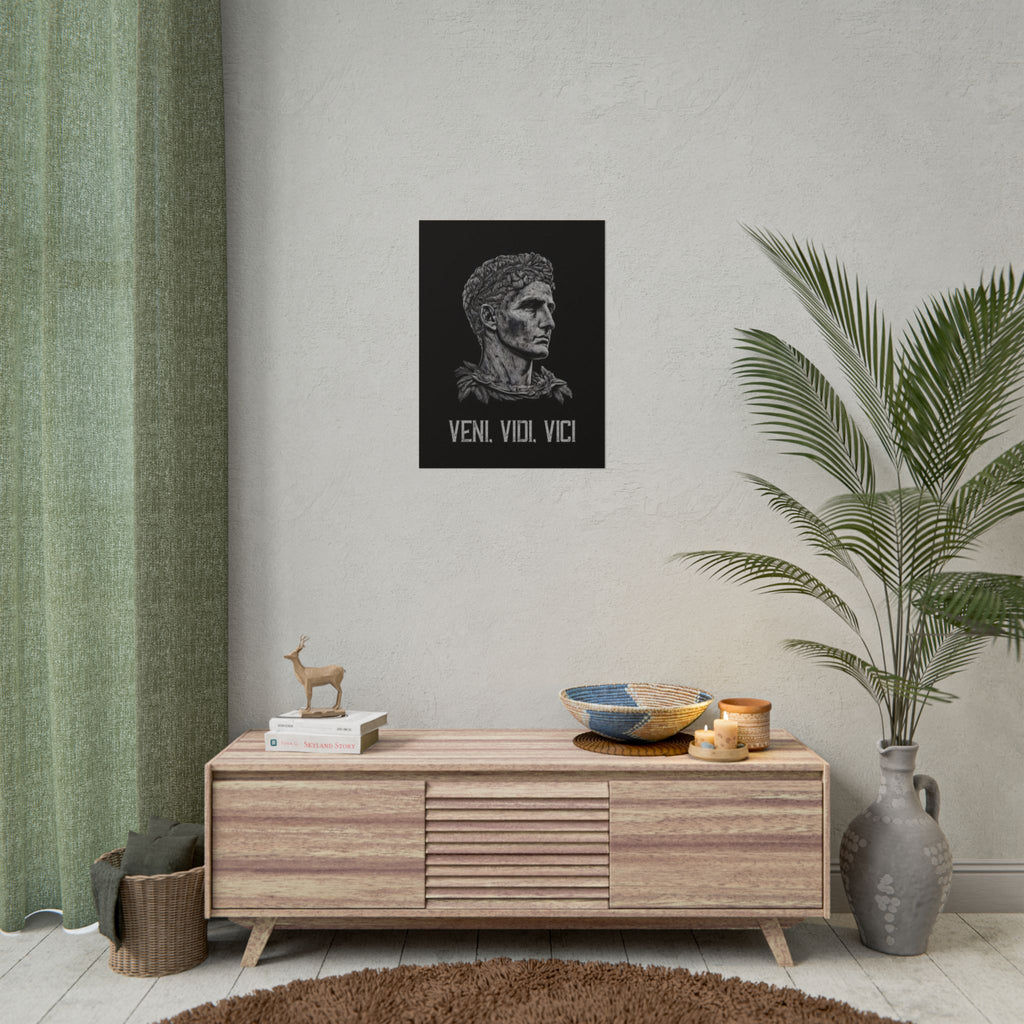 Veni Vidi Vici Poster