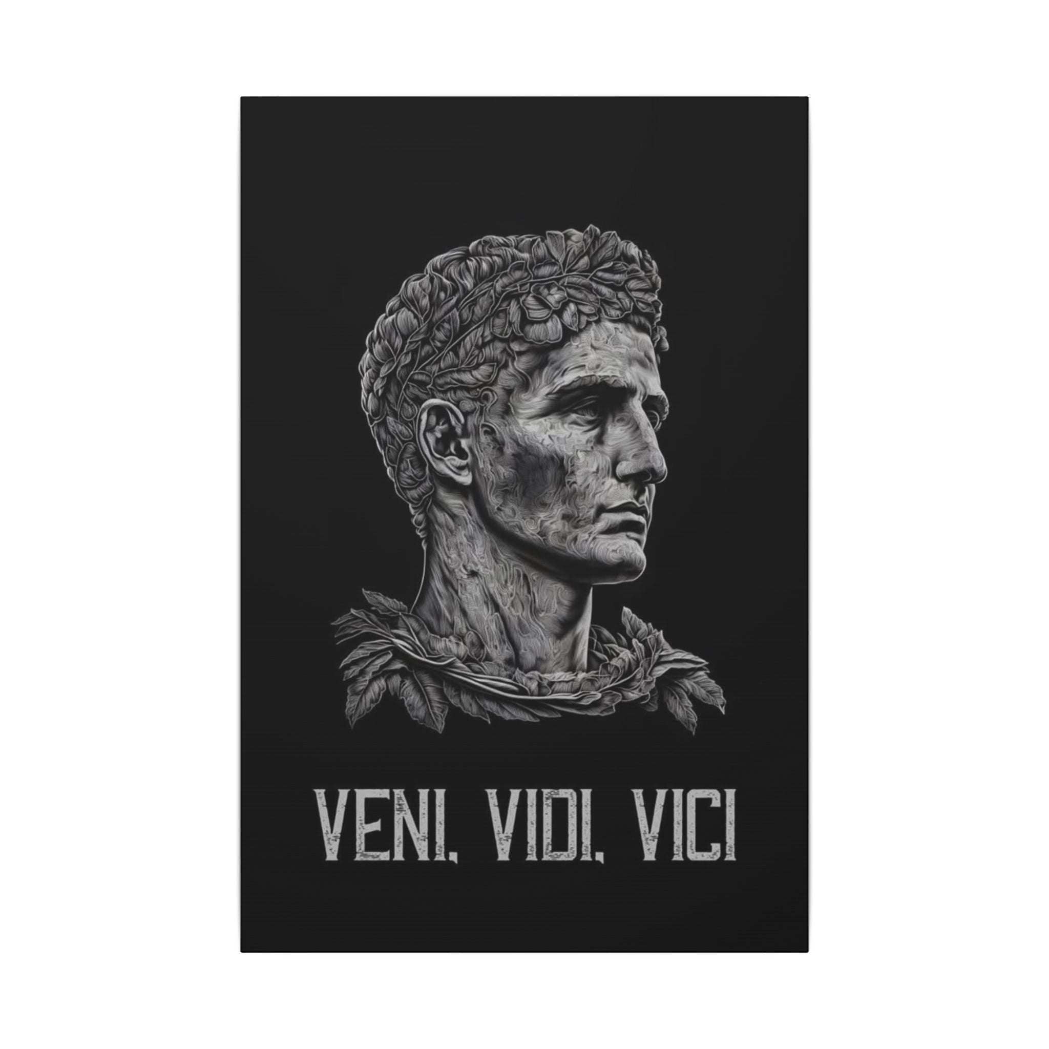Veni Vidi Vici Frame