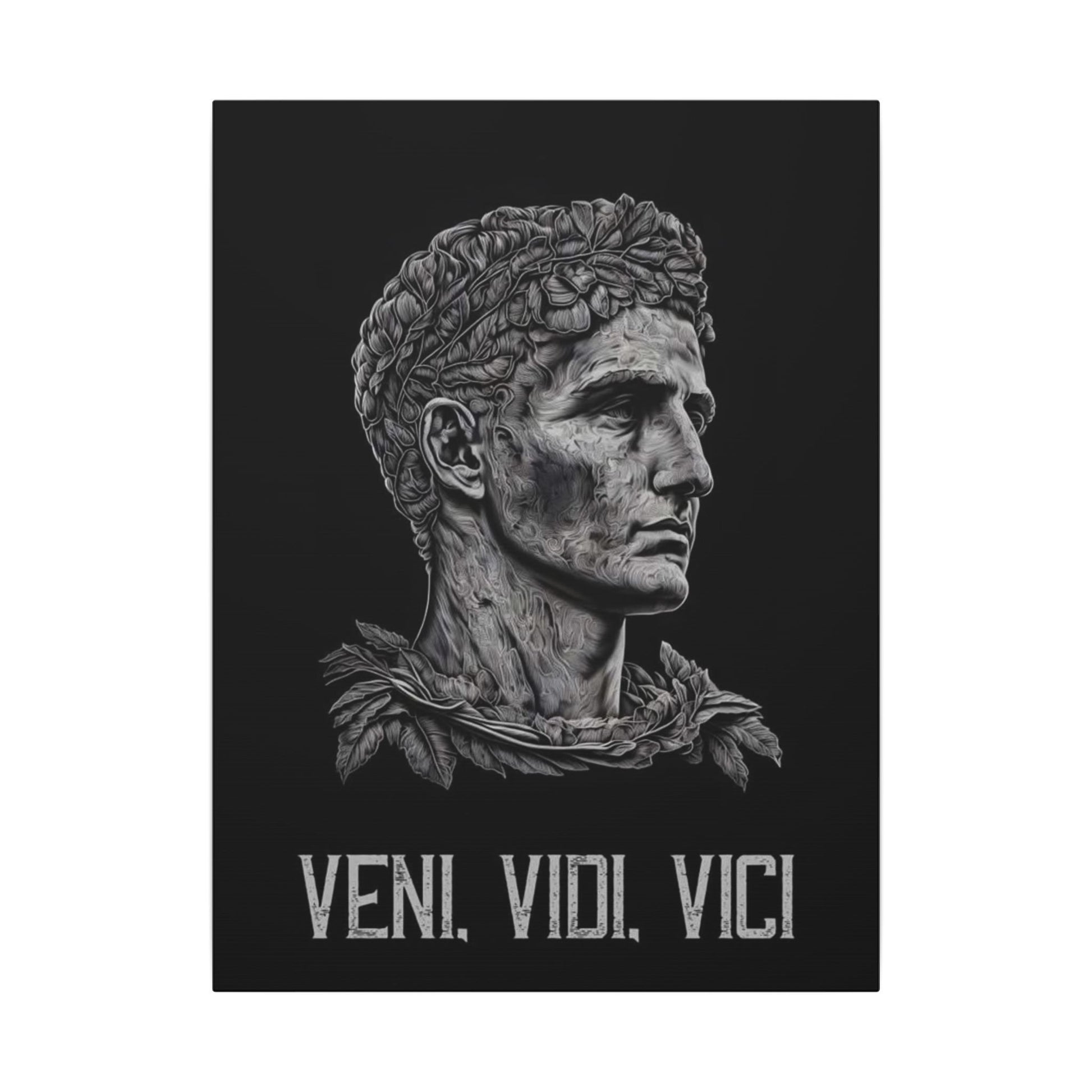 Veni Vidi Vici Frame