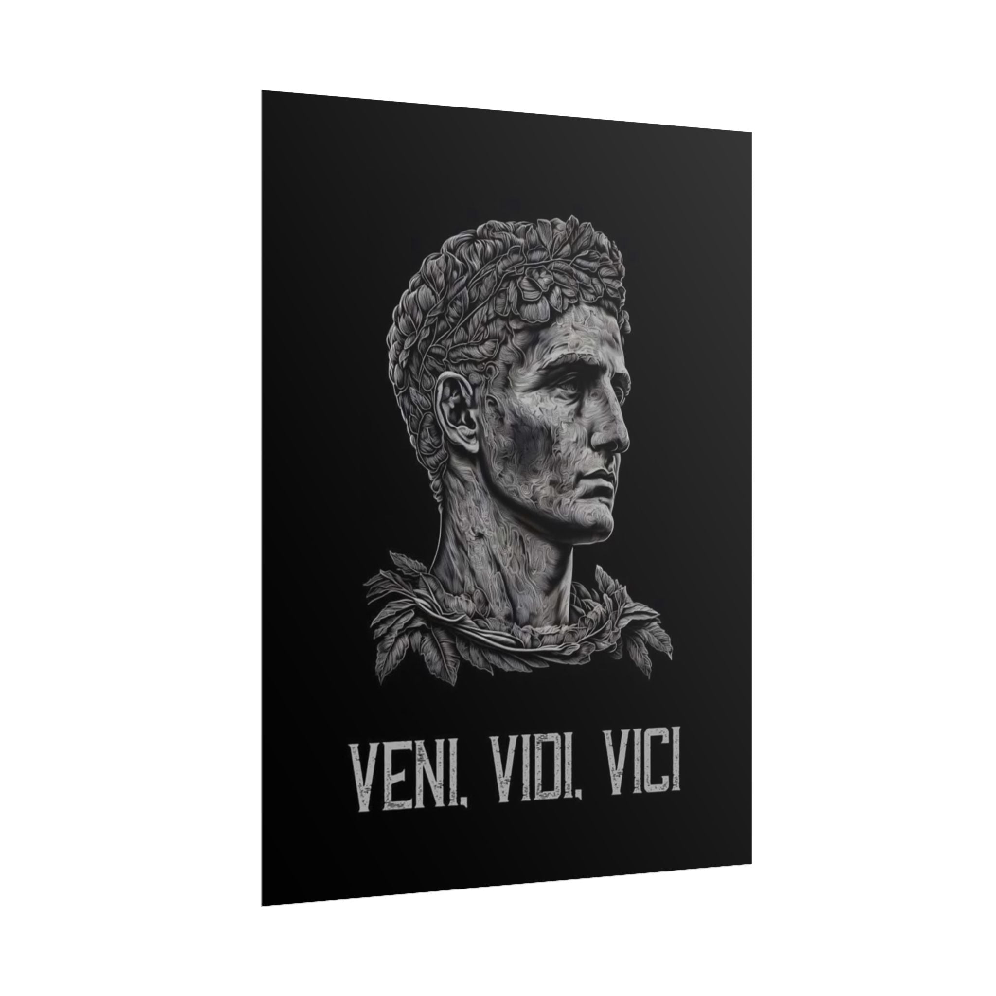 Veni Vidi Vici Poster