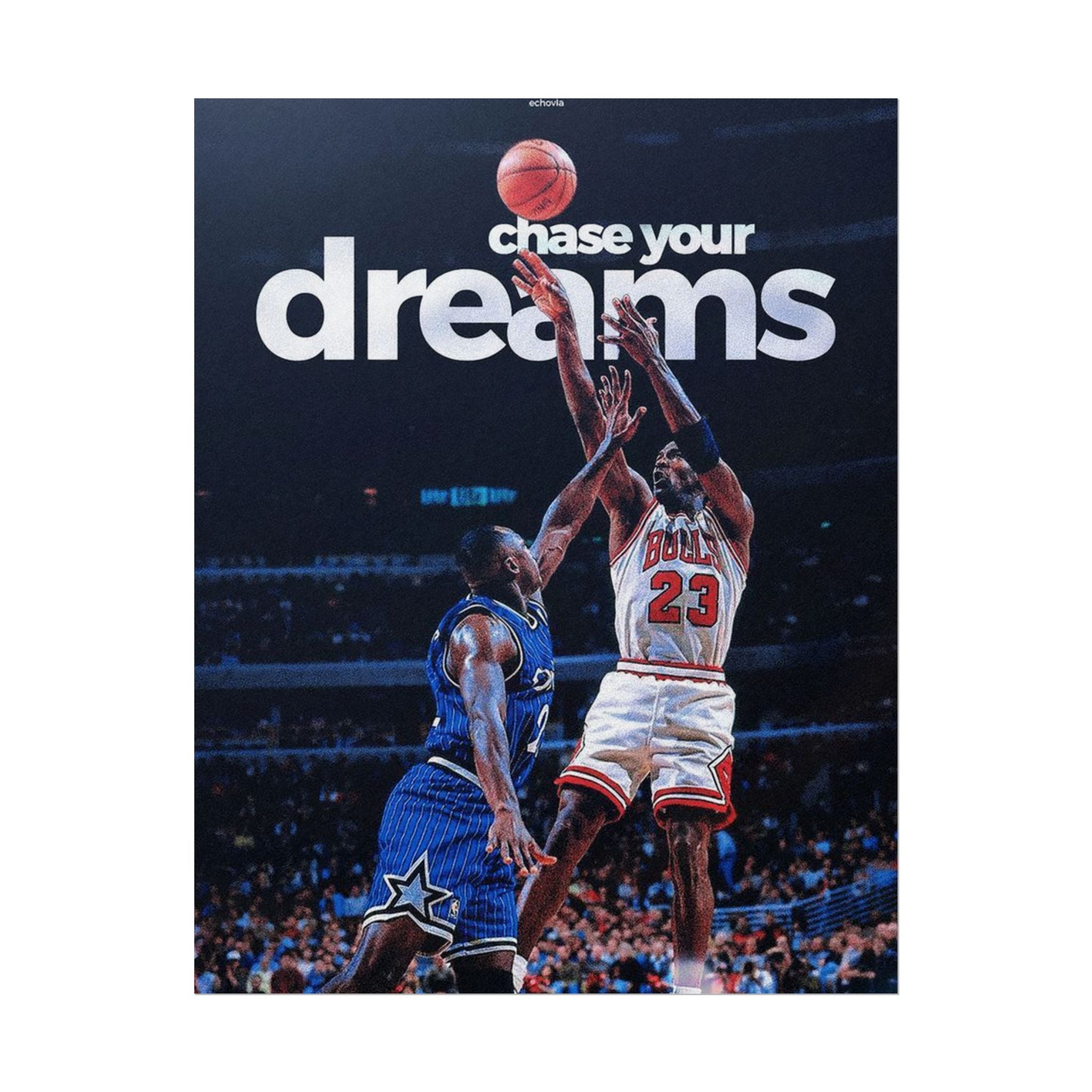 Chase Your Dreams Poster
