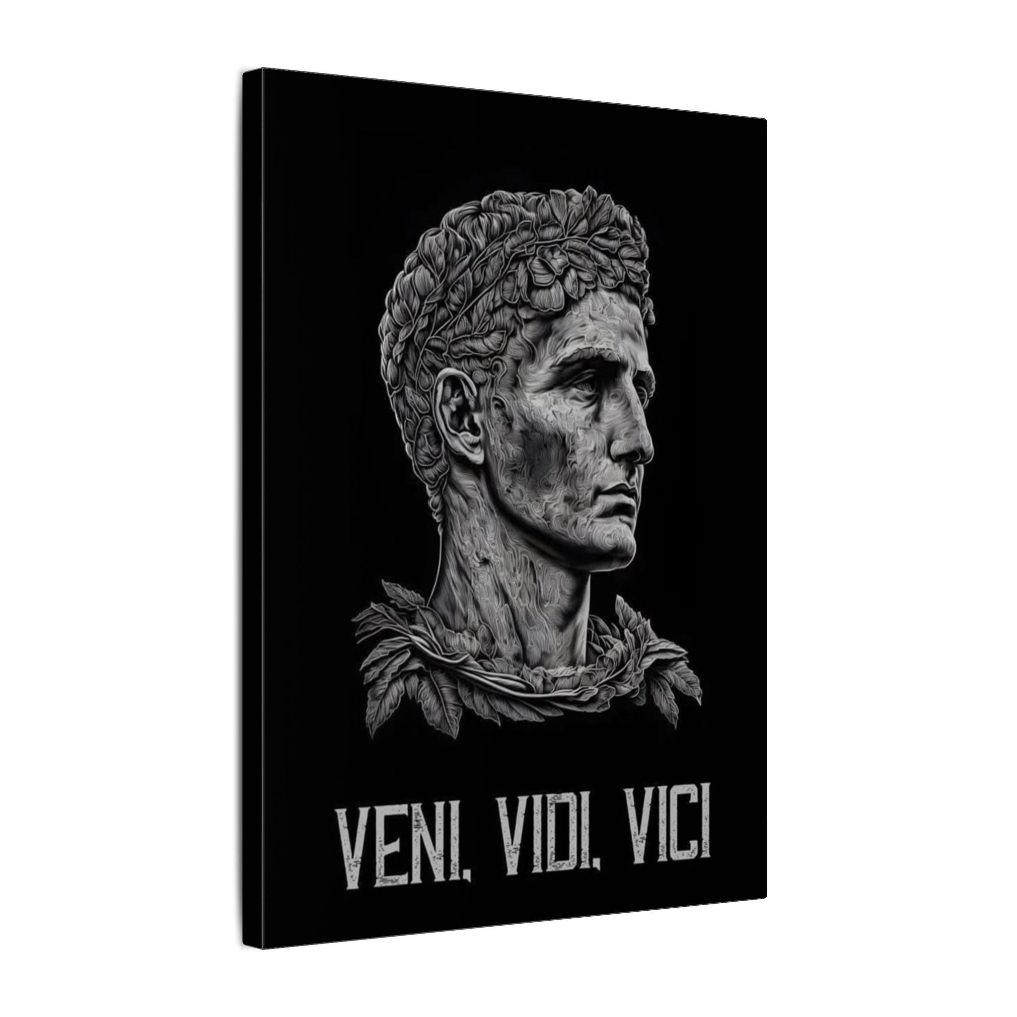 Veni Vidi Vici Frame