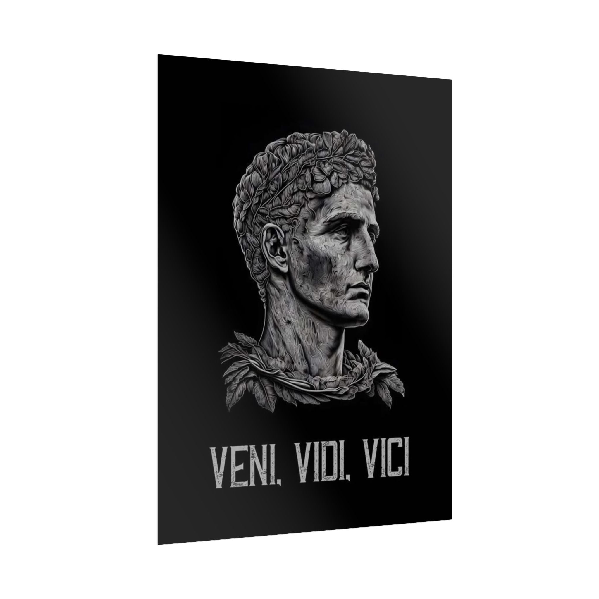 Veni Vidi Vici Poster