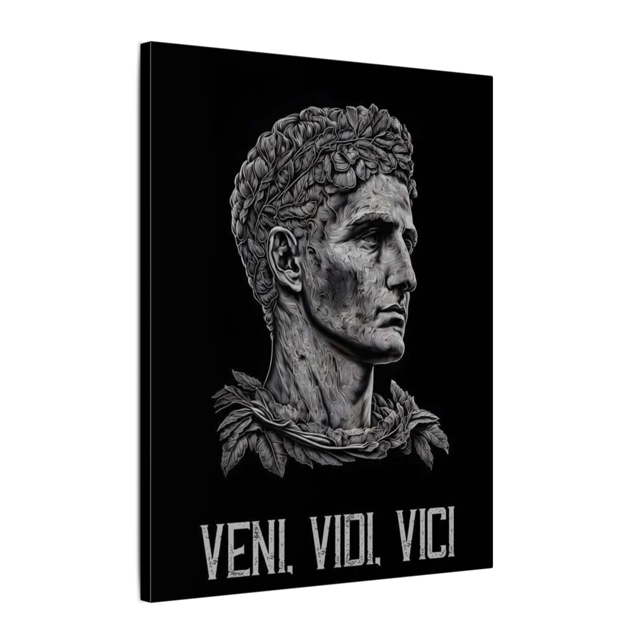 Veni Vidi Vici Frame