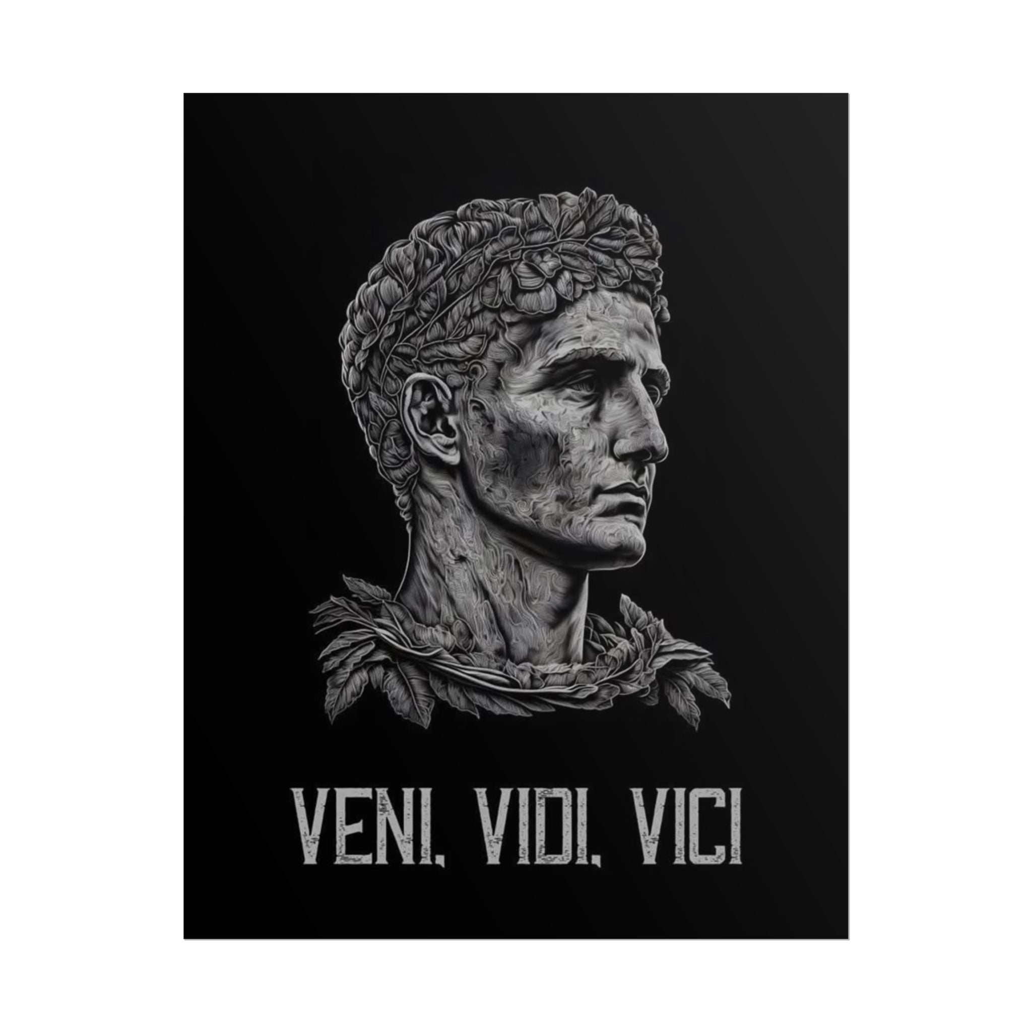 Veni Vidi Vici Poster