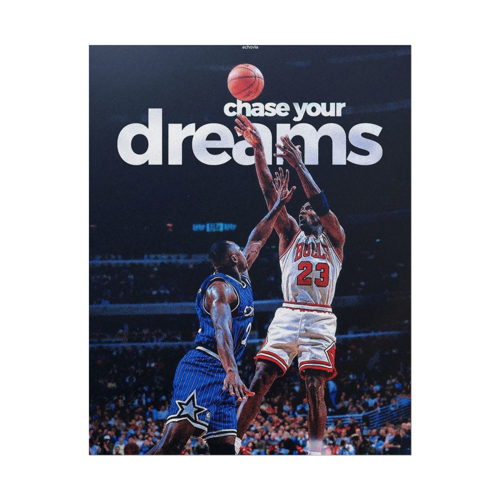 Chase Your Dreams Poster