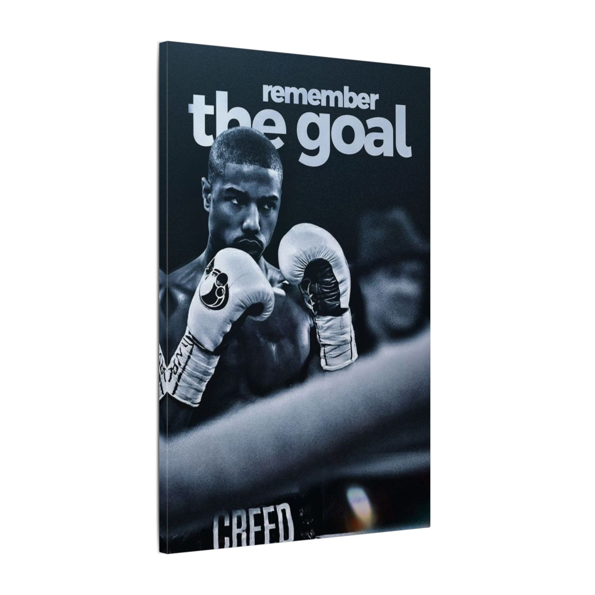Remember The Goal Frame