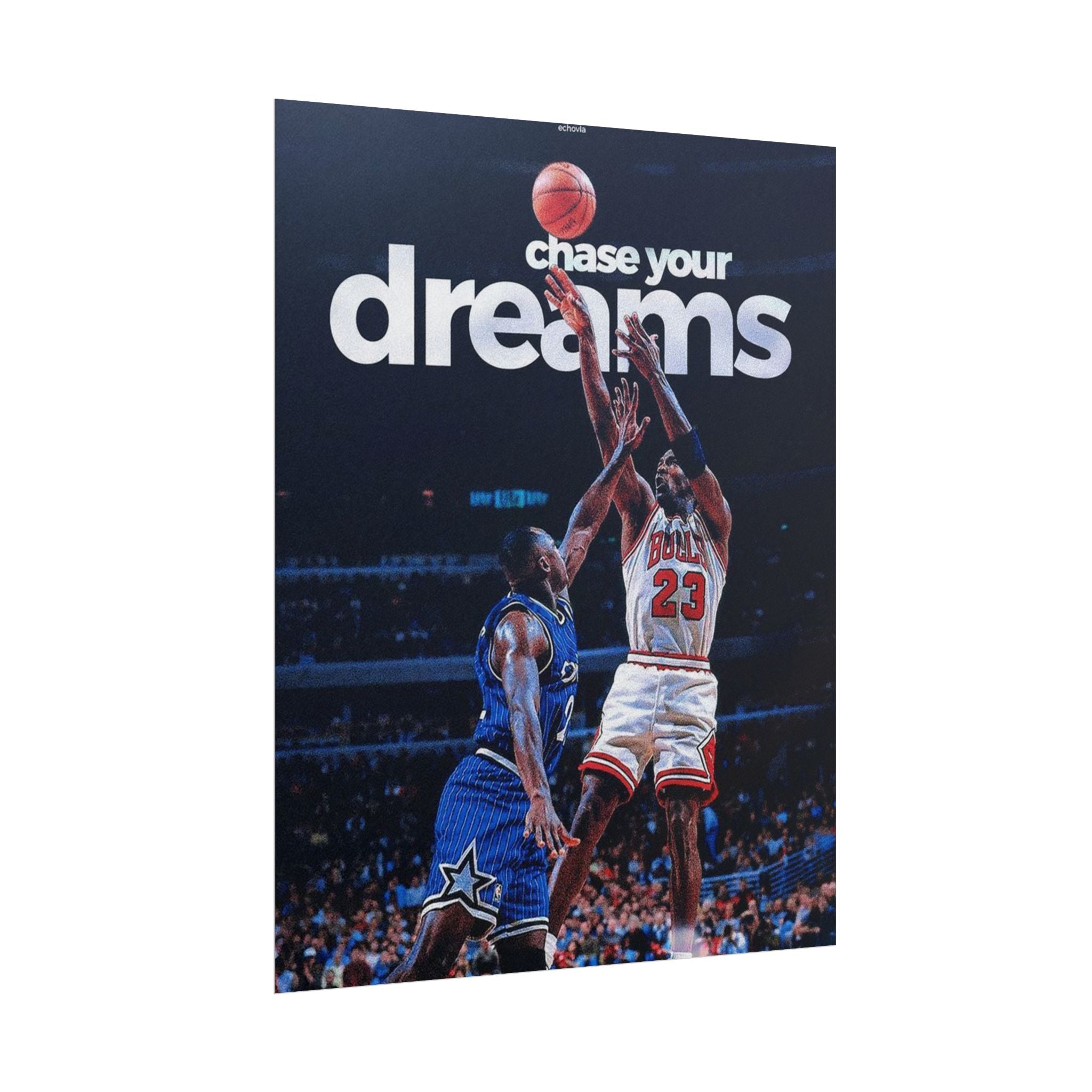 Chase Your Dreams Poster