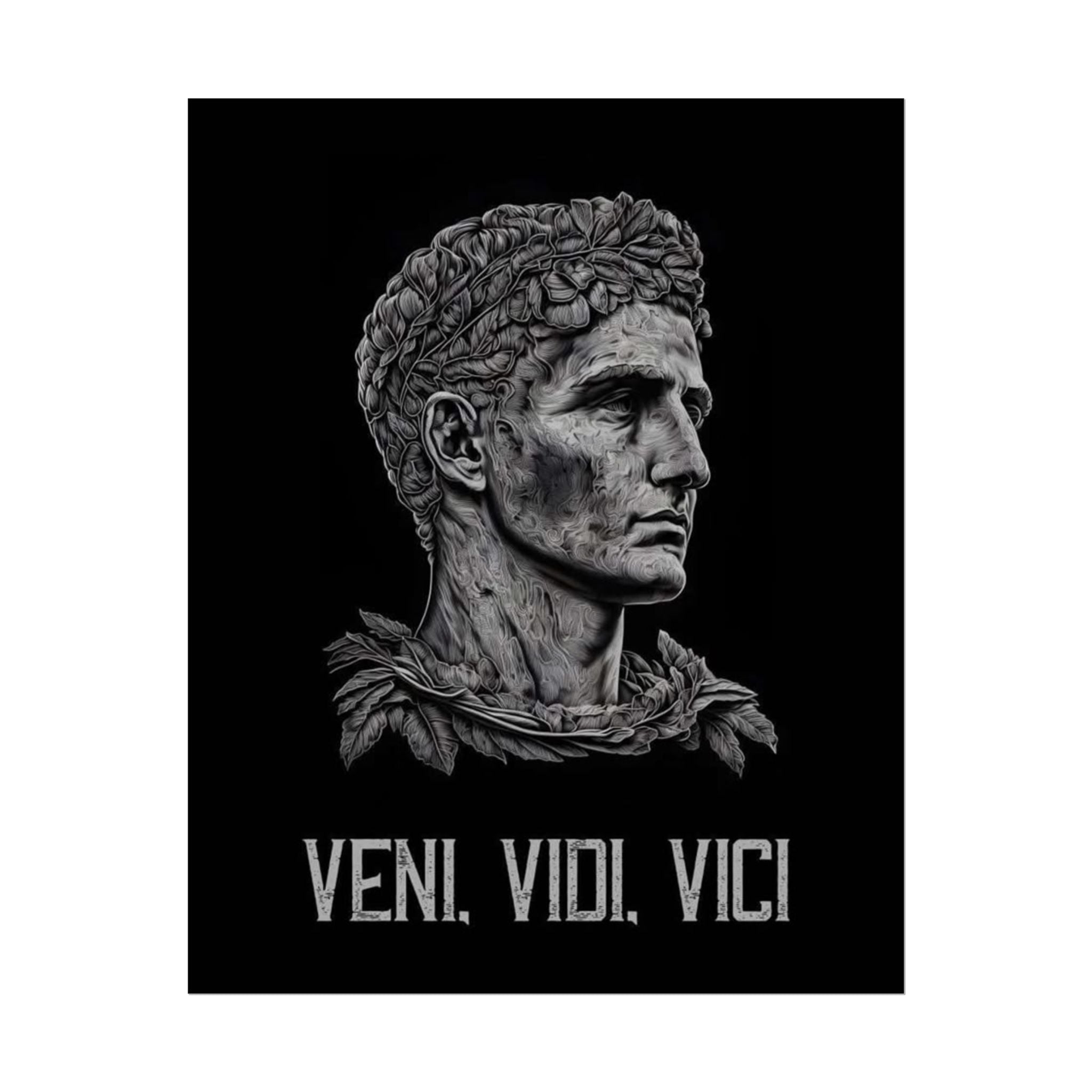 Veni Vidi Vici Poster