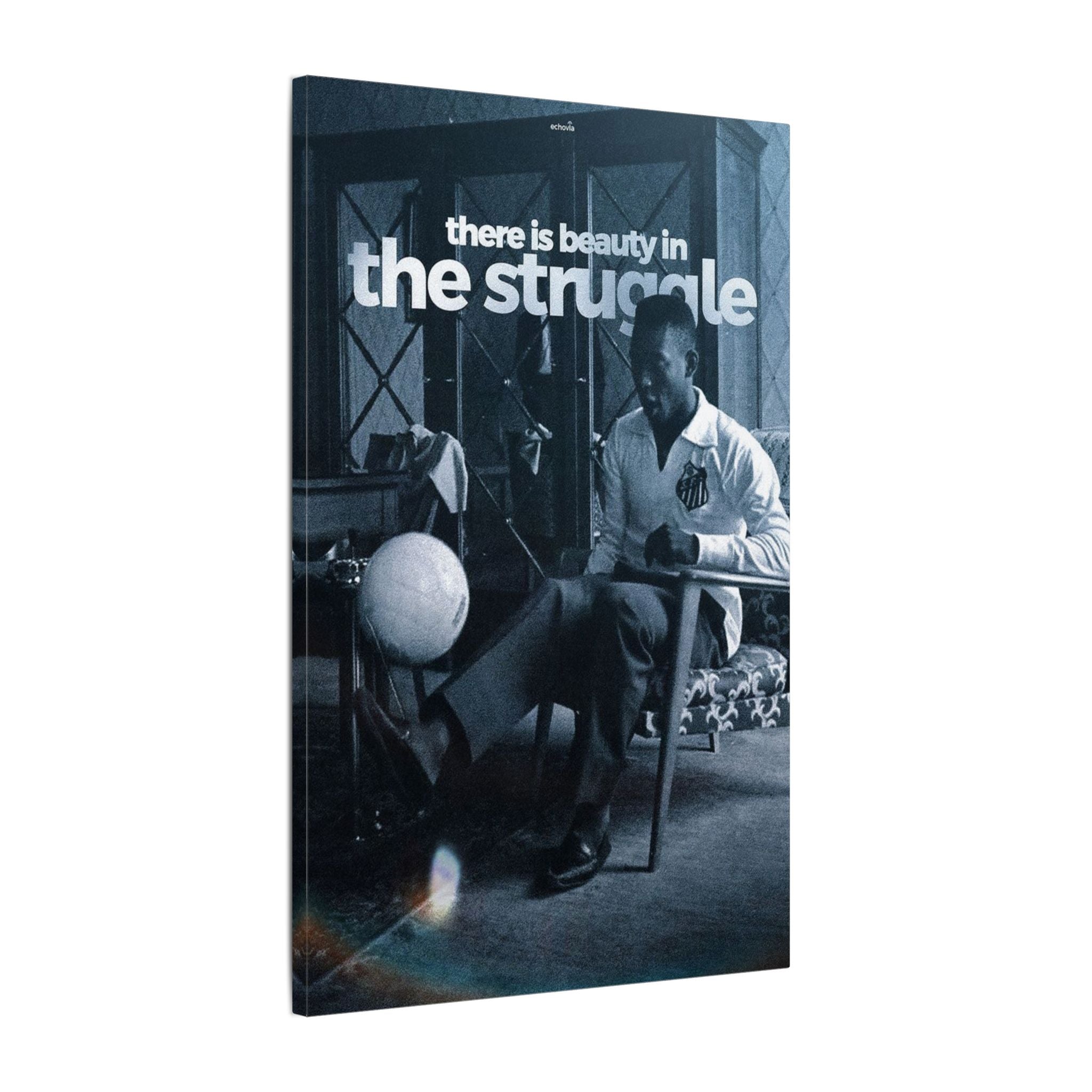 There Is Beuty In The Struggle Frame