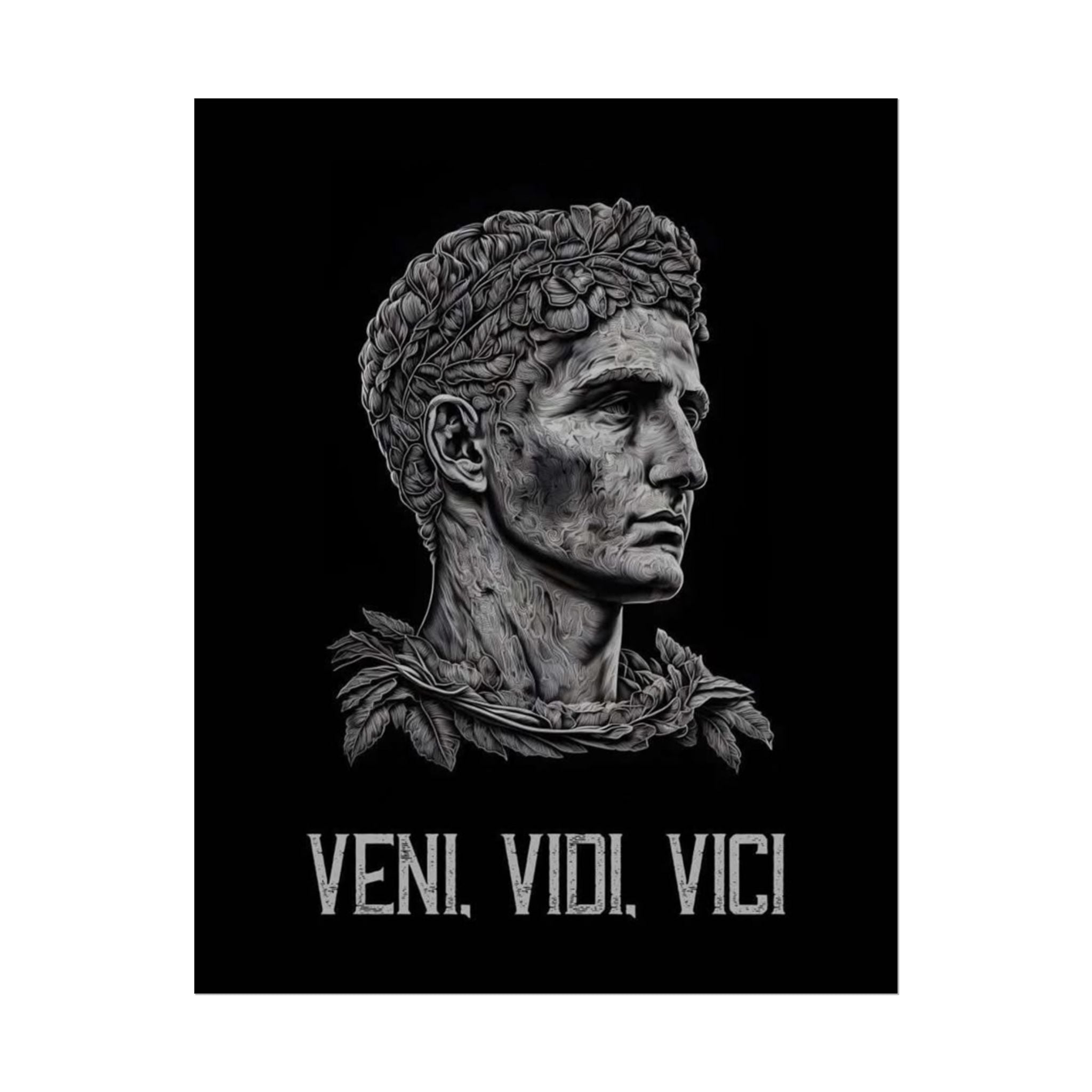 Veni Vidi Vici Poster