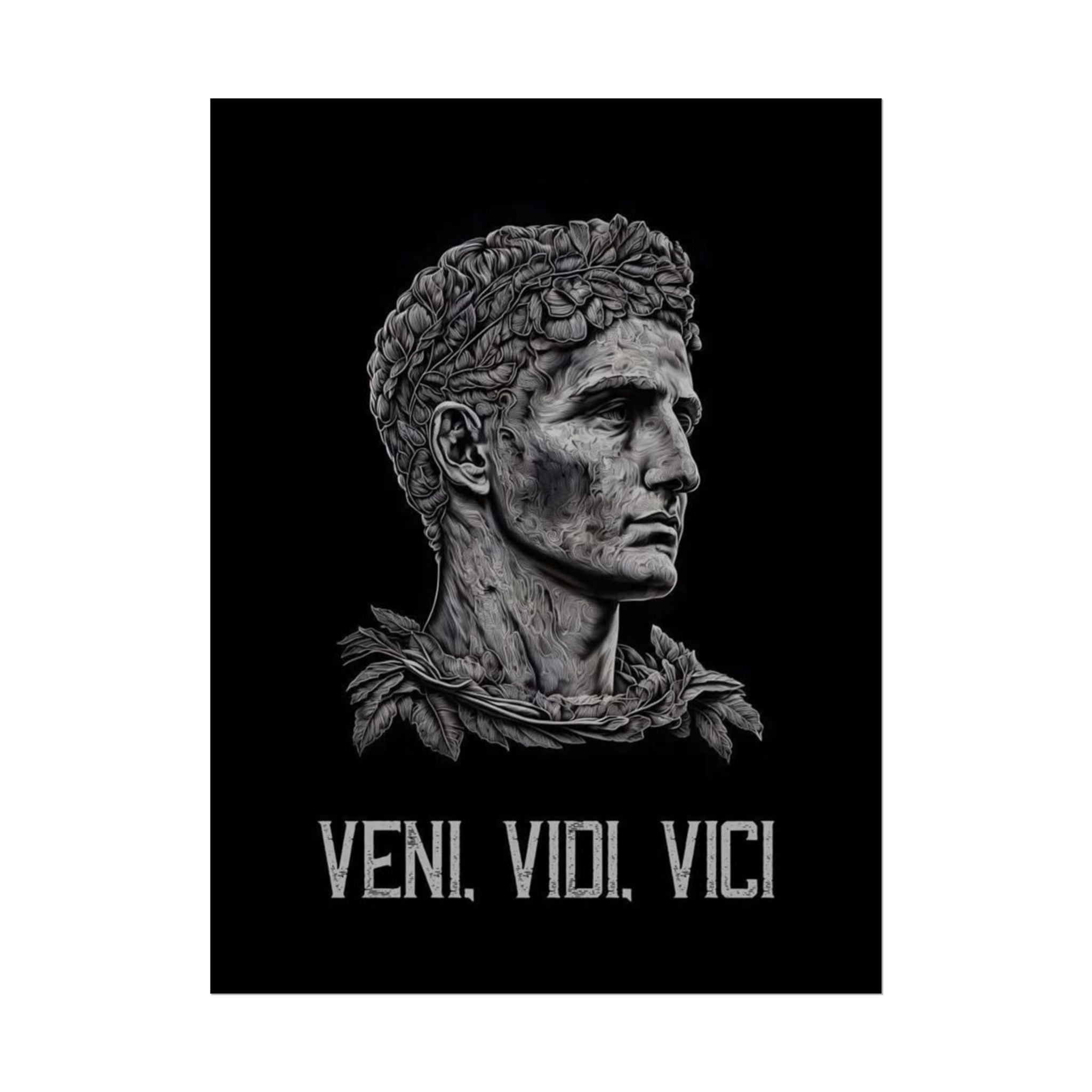 Veni Vidi Vici Poster