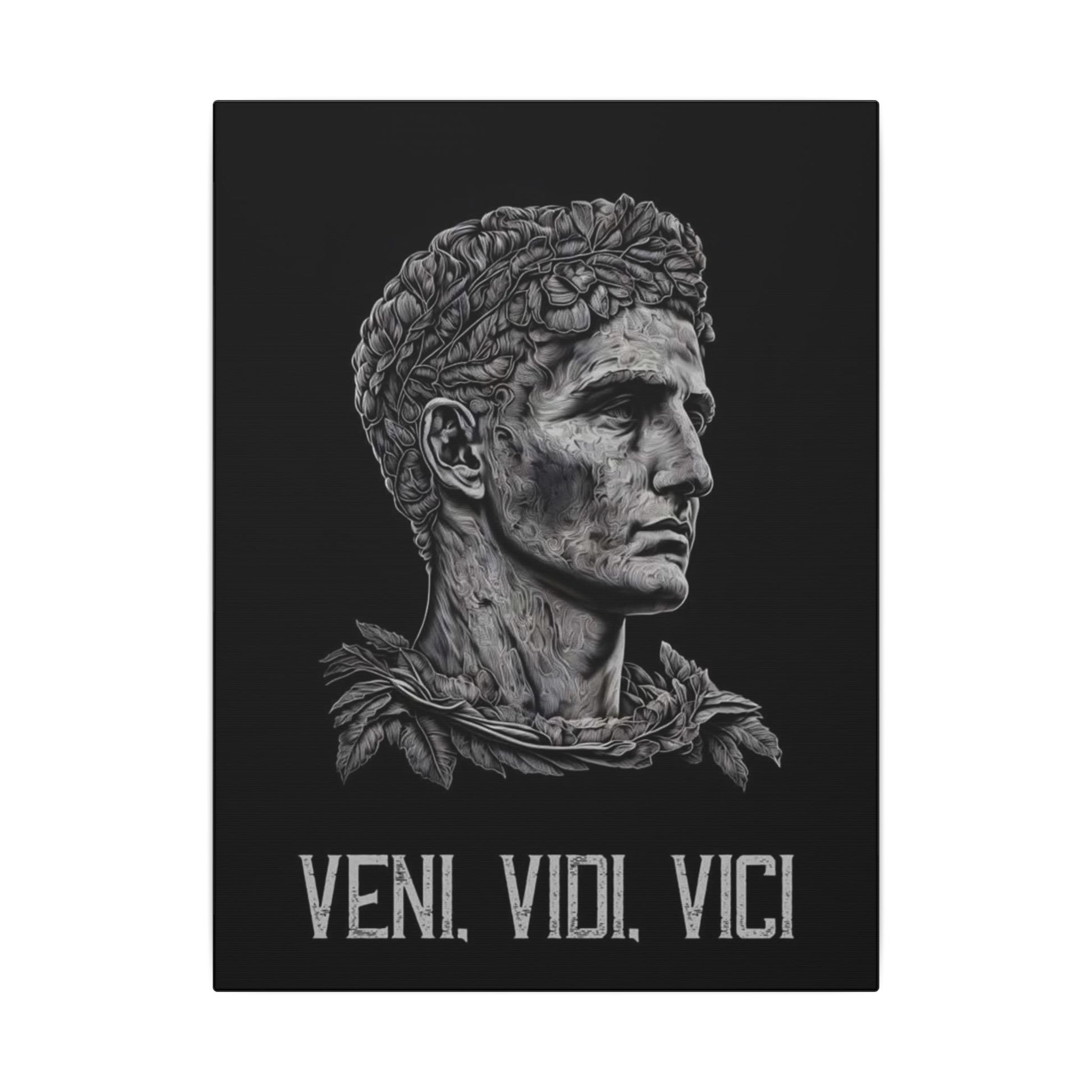 Veni Vidi Vici Frame