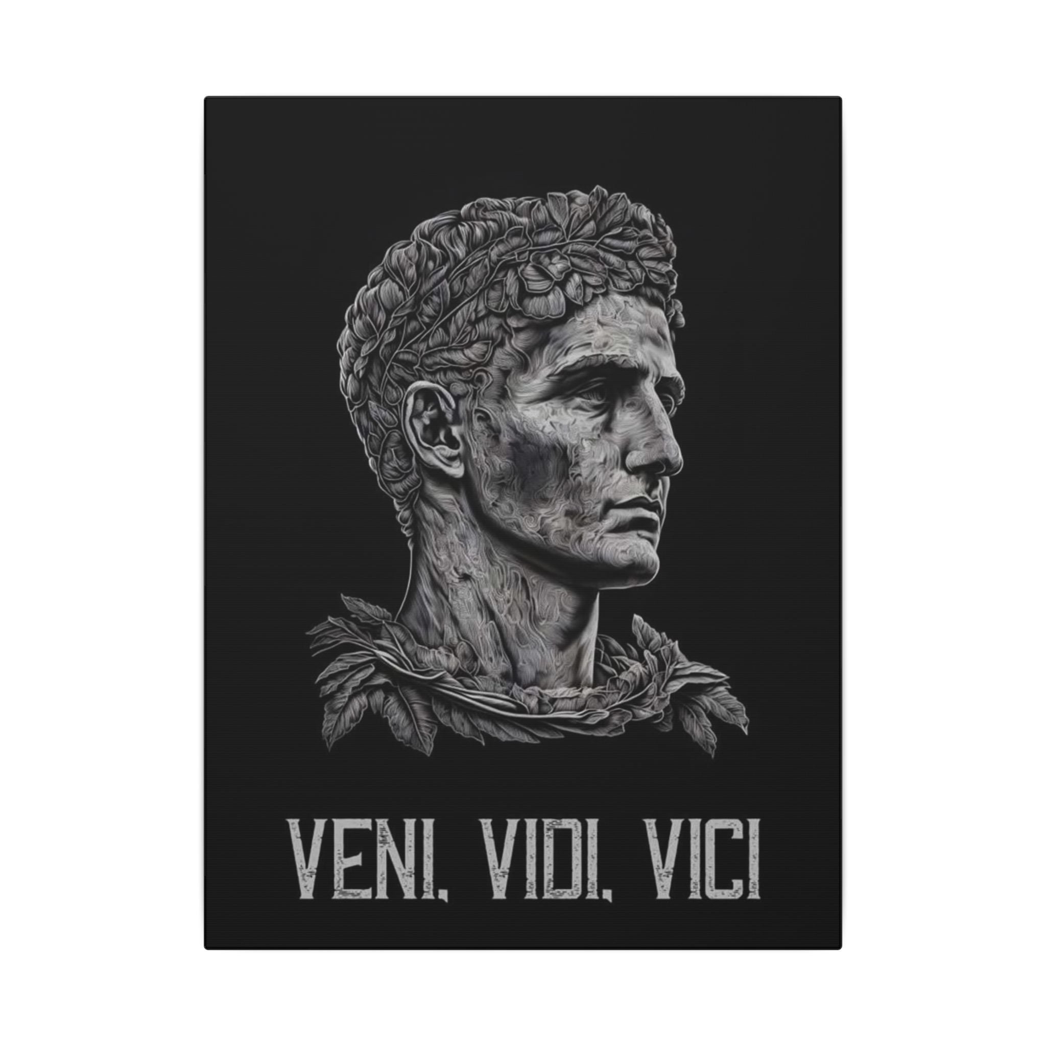 Veni Vidi Vici Frame