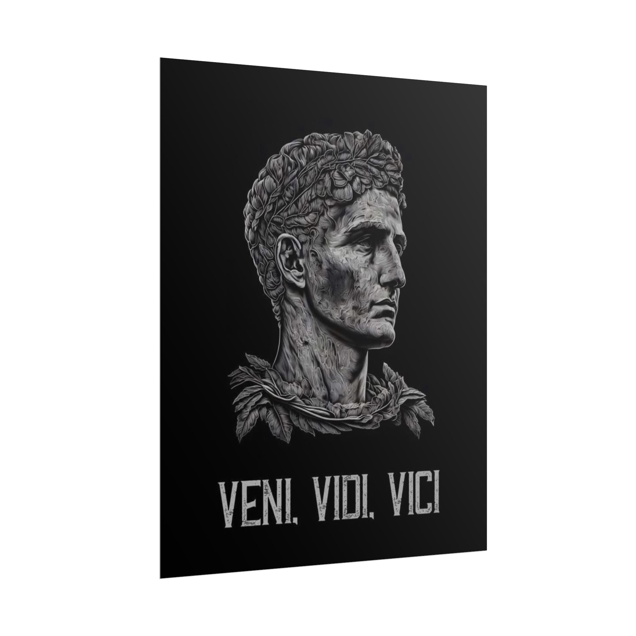 Veni Vidi Vici Poster