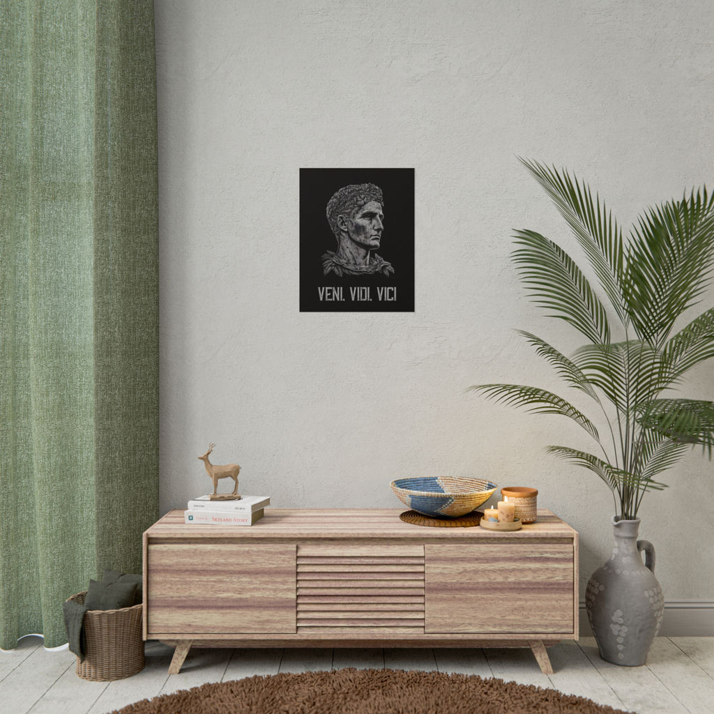 Veni Vidi Vici Poster