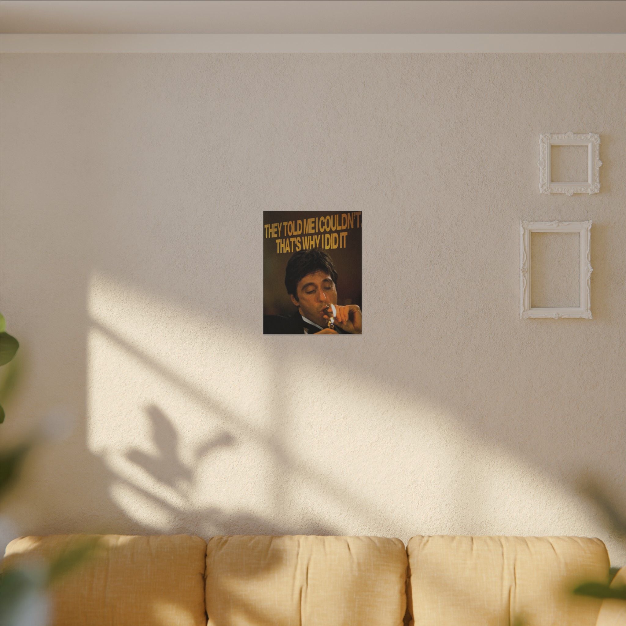 They Told Me I Couldn't Frame