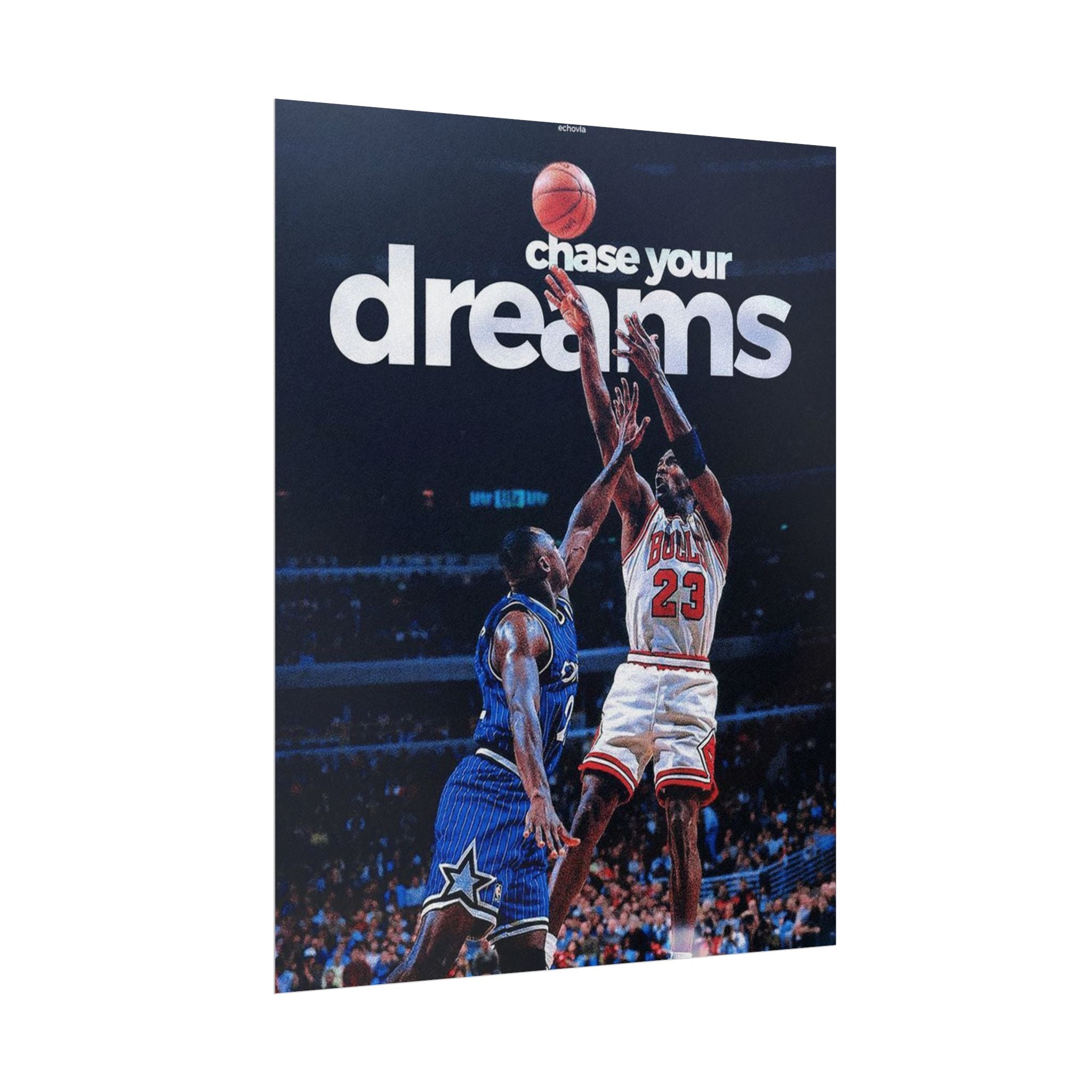 Chase Your Dreams Poster