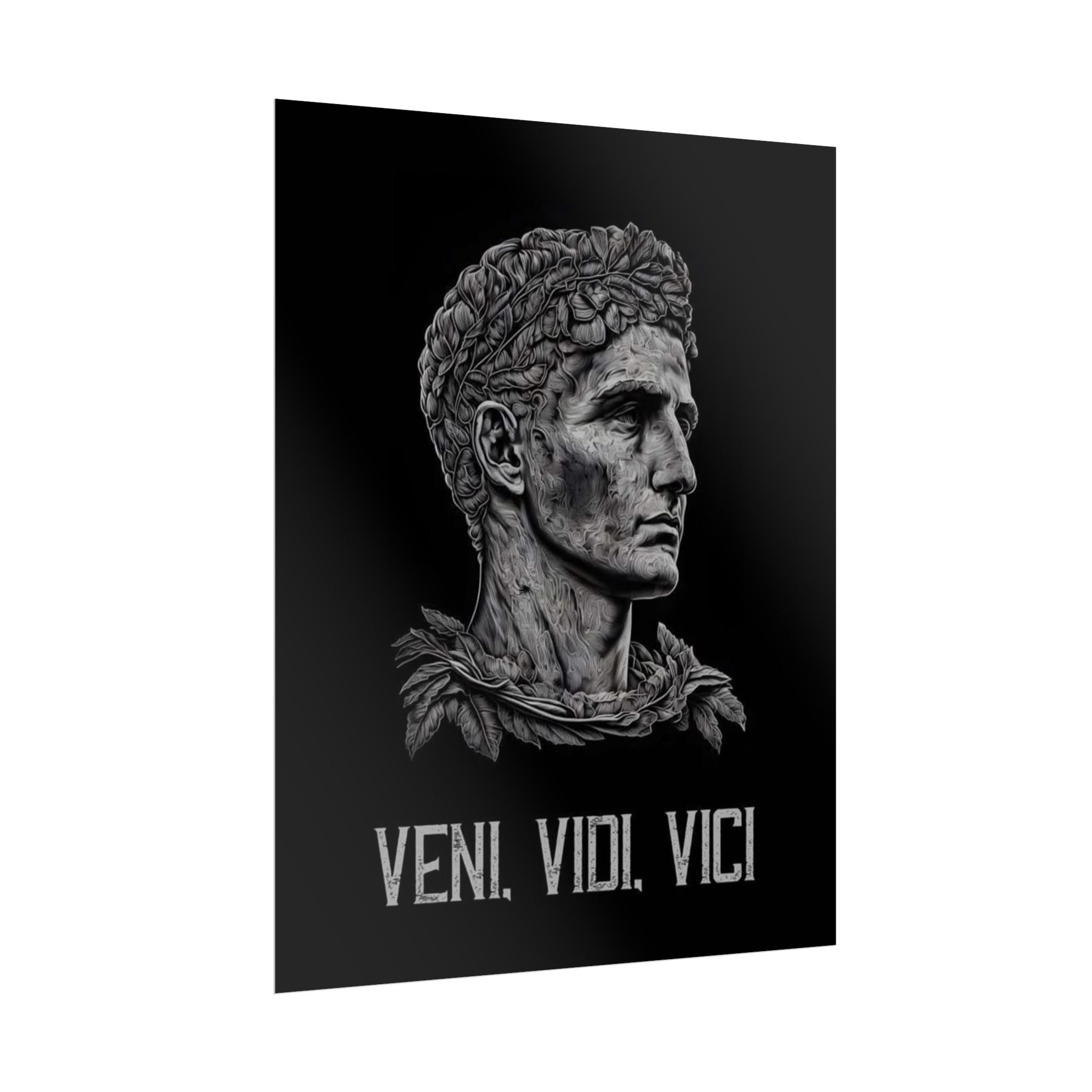 Veni Vidi Vici Poster
