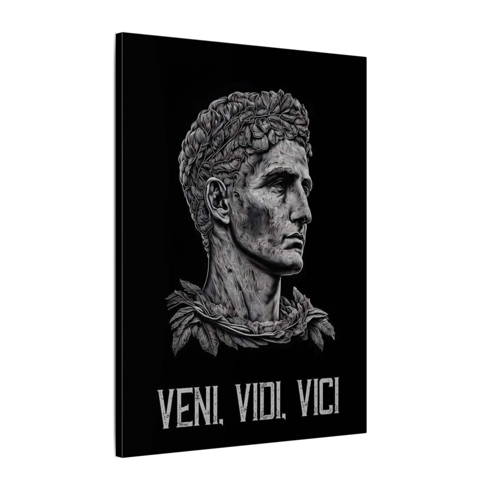 Veni Vidi Vici Frame