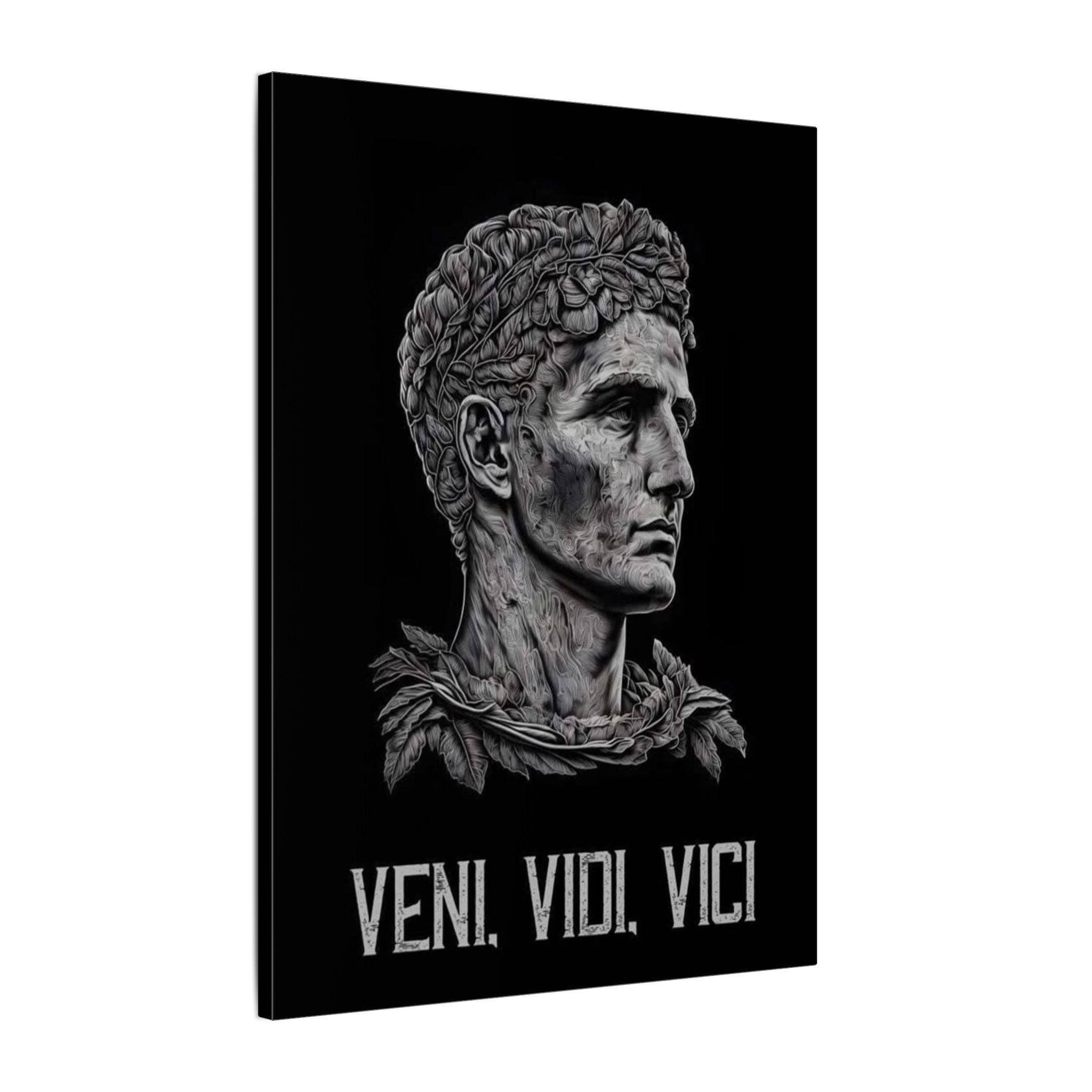 Veni Vidi Vici Frame