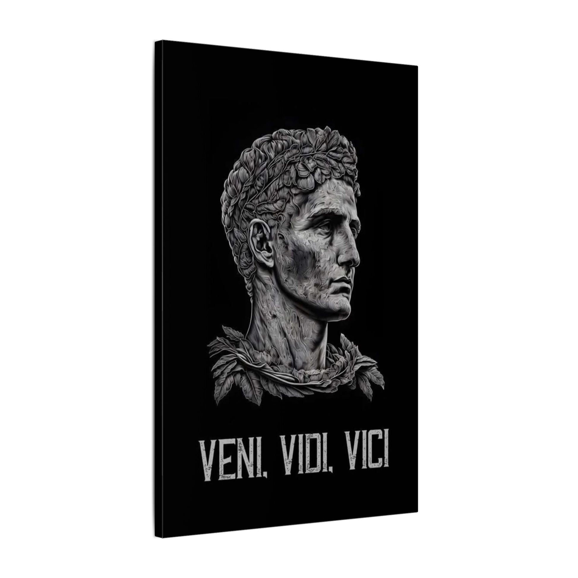 Veni Vidi Vici Frame