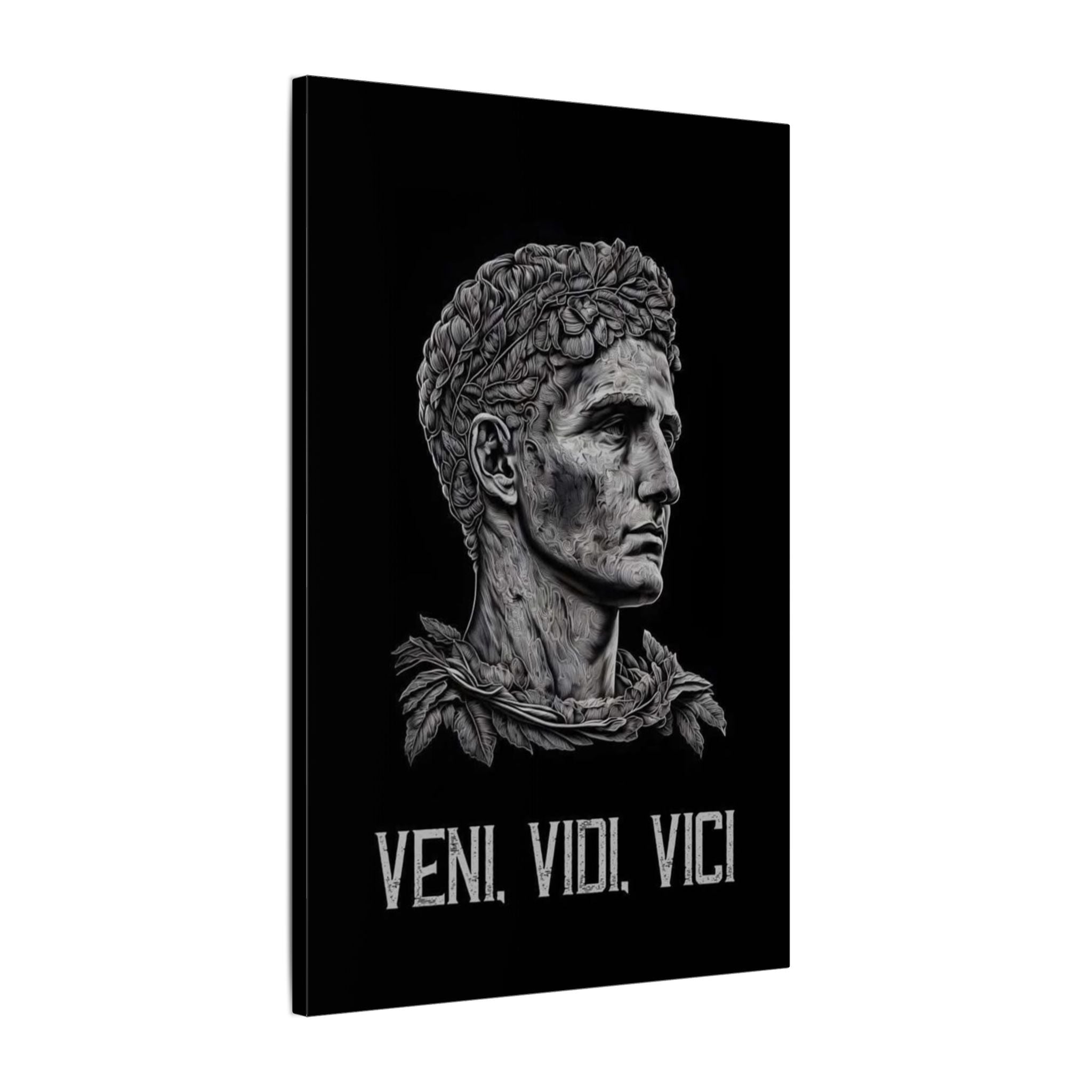 Veni Vidi Vici Frame